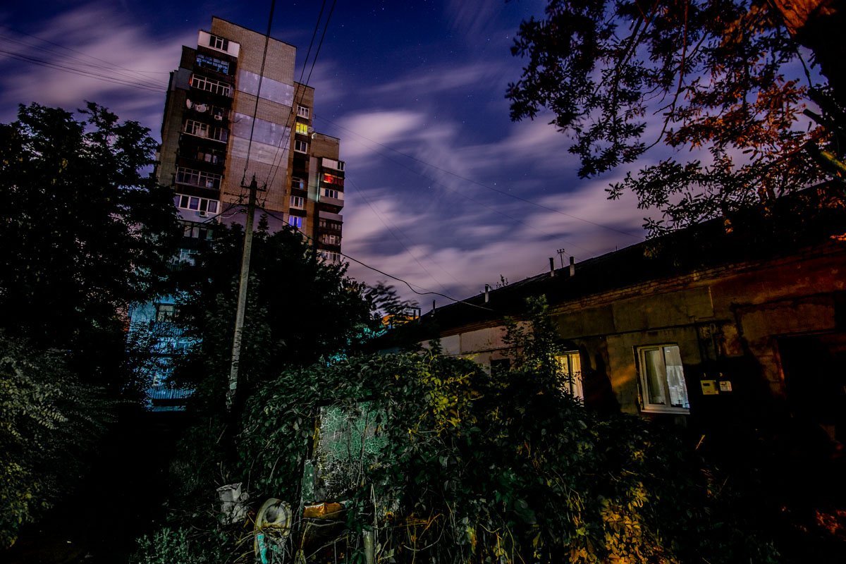 Кажется, что в кустах тоже кто-то поселился 