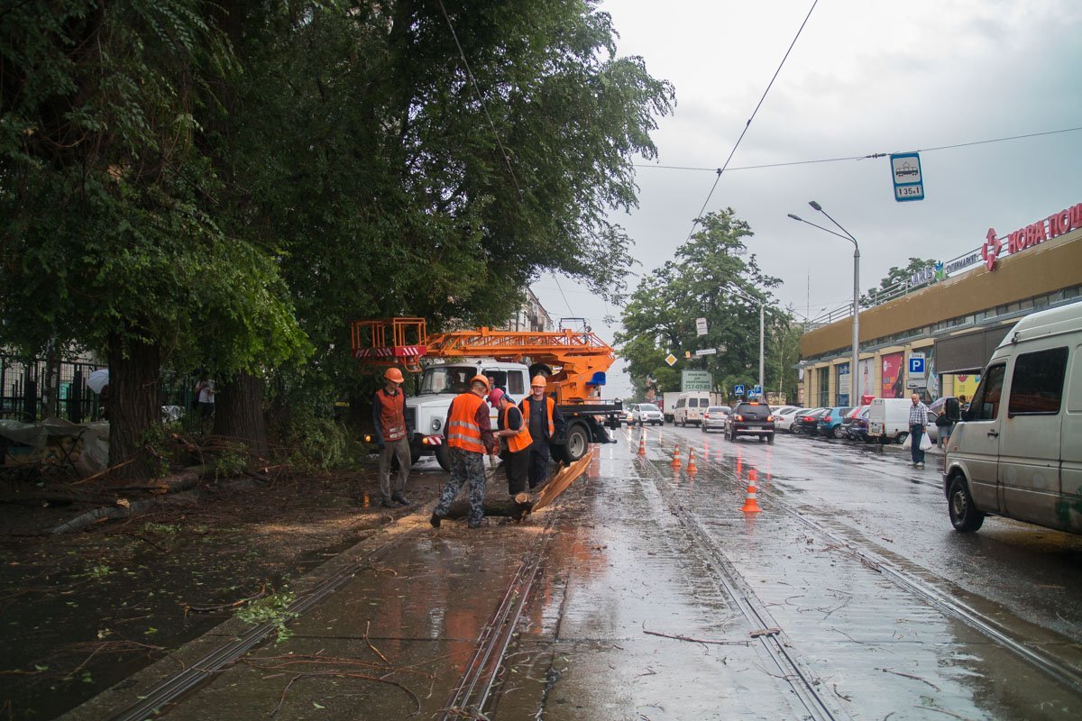 Возле ТЦ Нагорка ветка упала на трамвайные пути