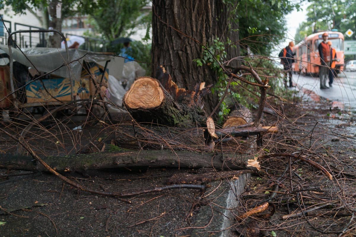 Коммунальщики пообещали убрать ее с тротуара в течение часа
