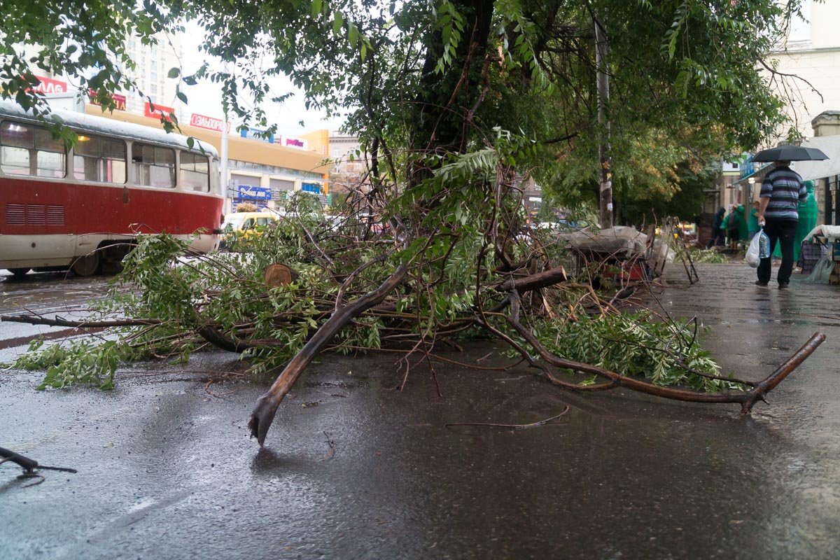 Теперь это проблема пешеходов