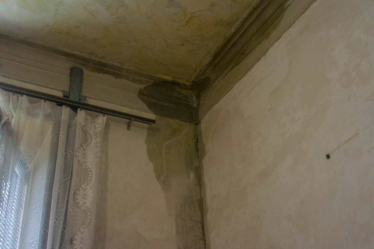 Все стены покрылись влагой