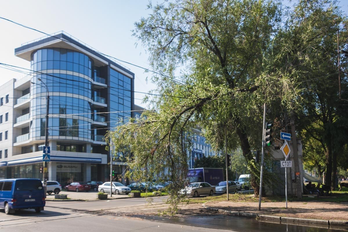 Ветка повисла на проводах электросети и мешает проезду автомобилей