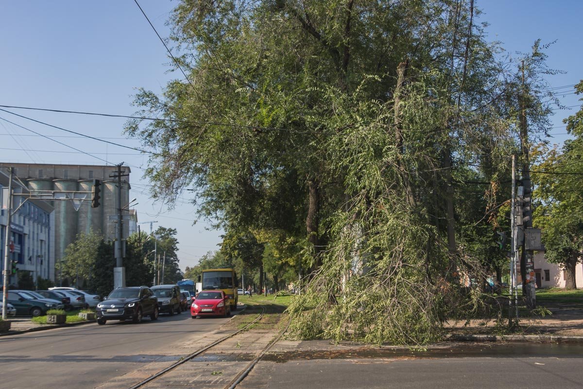 После проезда каждого трамвая она все ниже опускается на проезжую часть
