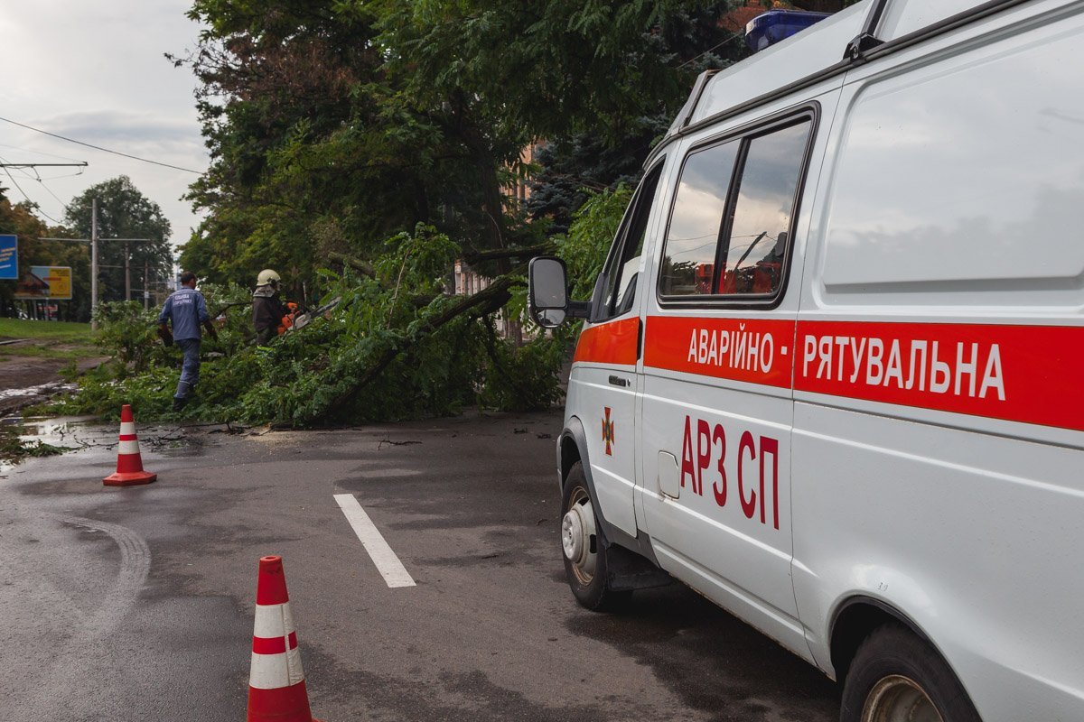 На работу у спасателей ушло около 10 минут