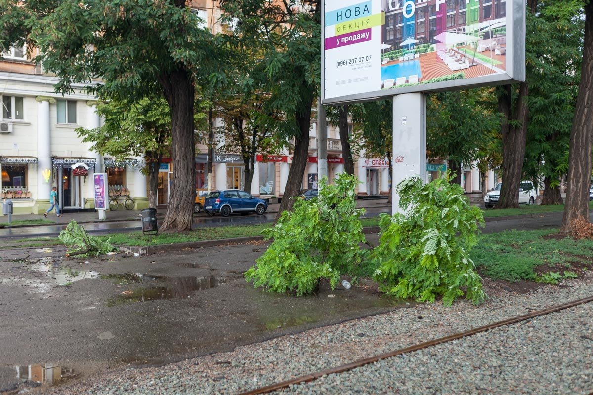 На аллее напротив бывшего магазина "1000 мелочей" ветка упала на мужчину На аллее напротив бывшего магазина "1000 мелочей" ветка упала на мужчину