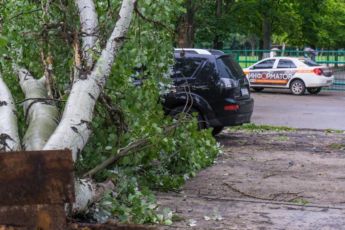 Фото Виктории Машкиной Фото Виктории Машкиной