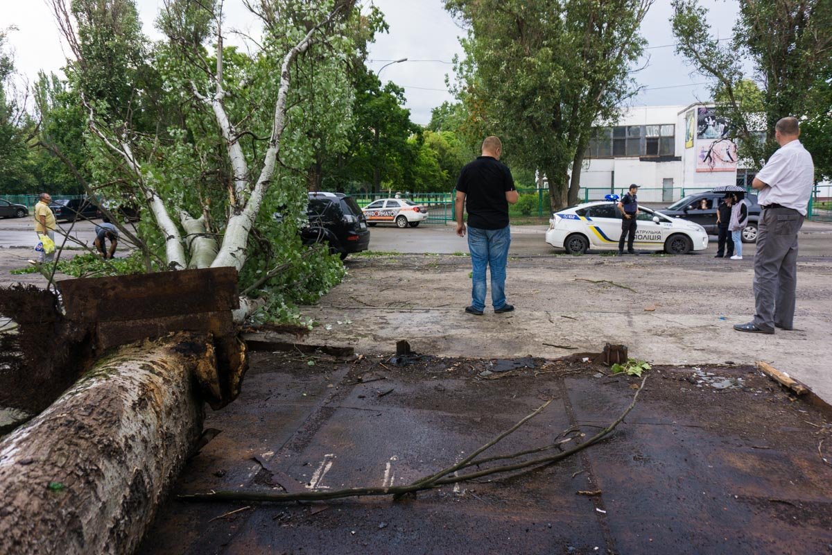 Фото Виктории Машкиной Фото Виктории Машкиной