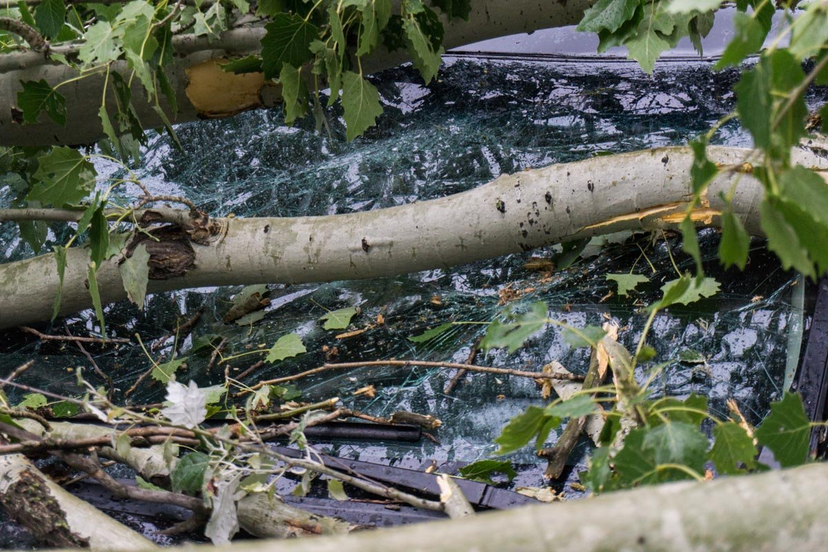 Правоохранители зафиксировали случившееся Правоохранители зафиксировали случившееся