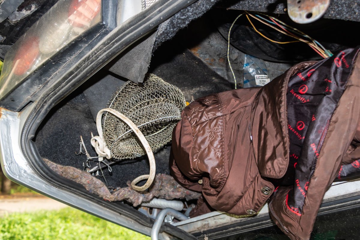 Фото: Дмитрий Федоров