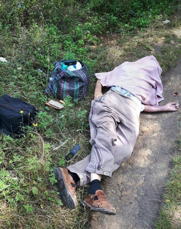 Предварительно, мужчина скончался от укусов шершней Предварительно, мужчина скончался от укусов шершней