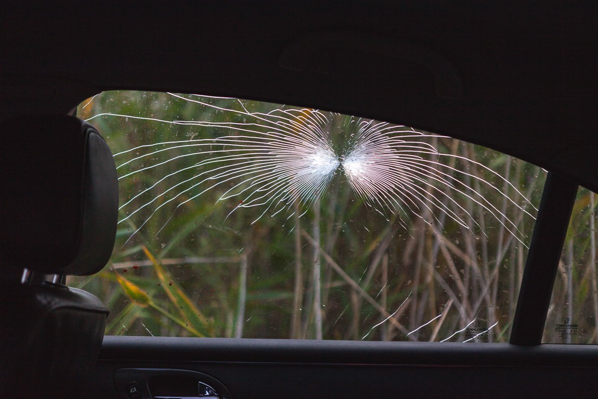 Фото: Денис Карпенко Фото: Денис Карпенко