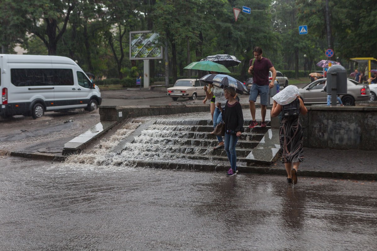 Кто не умеет плавать - сидит дома Кто не умеет плавать - сидит дома