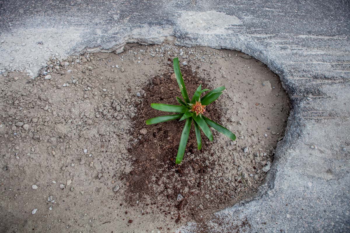 Ну красивенько ж Ну красивенько ж