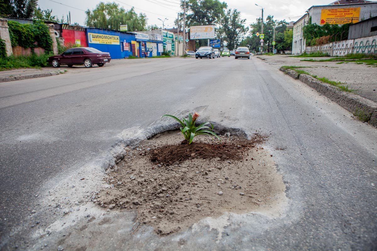 Радуем глаз зрадоискателей Радуем глаз зрадоискателей
