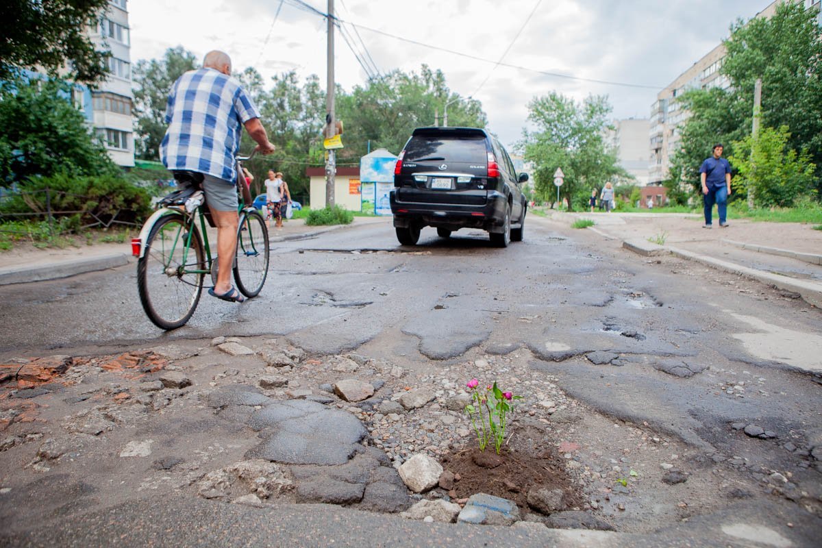 Сквозь асфальт прорастай росток... Сквозь асфальт прорастай росток...