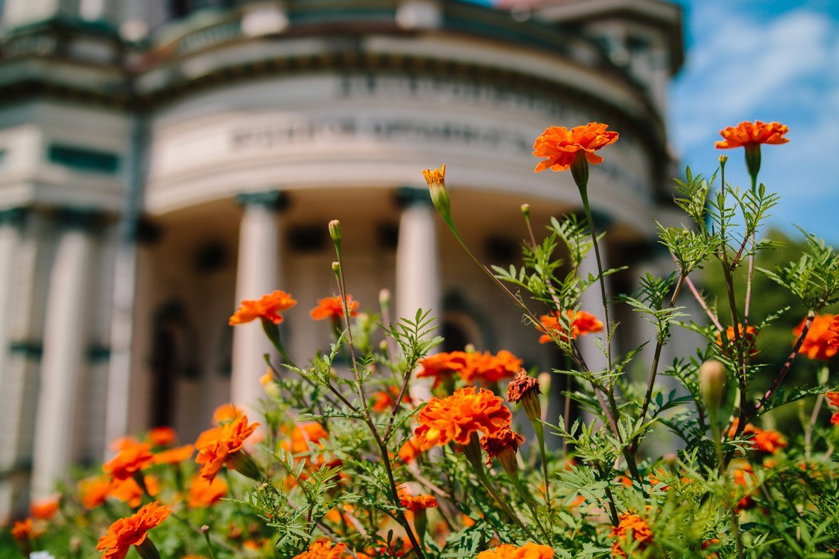Немного лета на экраны ваших гаджетов Немного лета на экраны ваших гаджетов