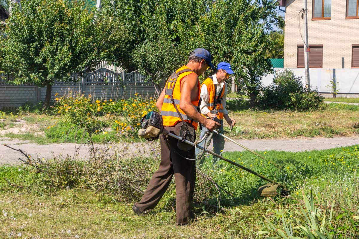 Кто-то косит больше, чем ты Кто-то косит больше, чем ты