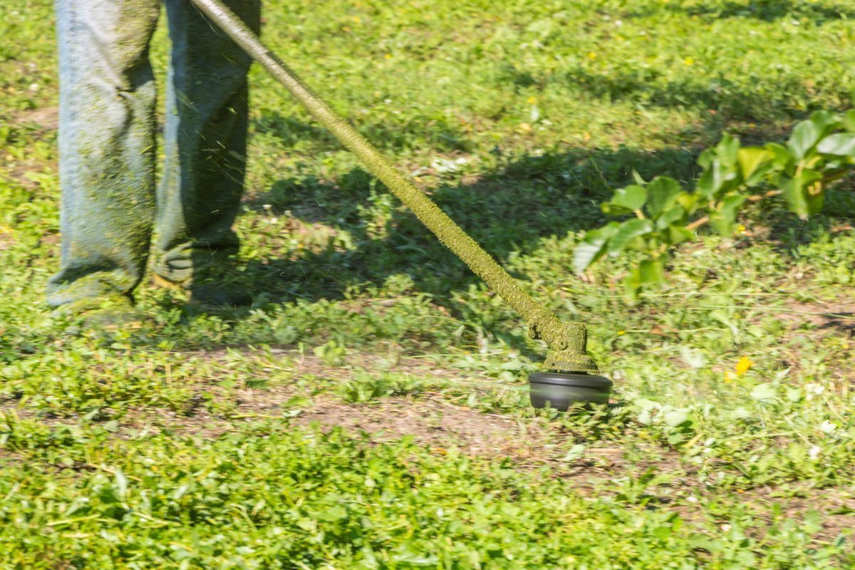 Покос проводится с помощью триммера Покос проводится с помощью триммера