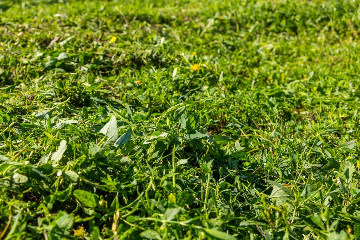 Фото Дмитрия Федорова Фото Дмитрия Федорова