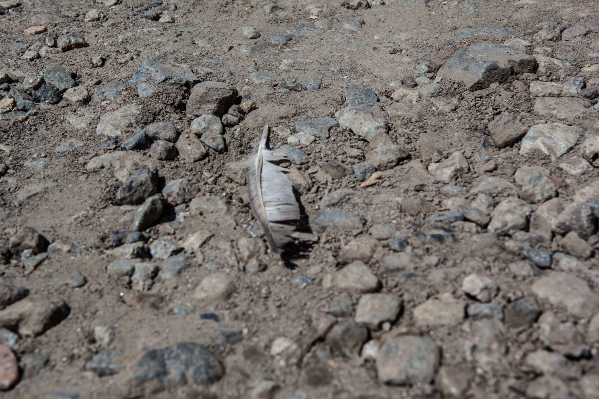 Засыпать ямы щебнем - лучшее решение проблемы Засыпать ямы щебнем - лучшее решение проблемы