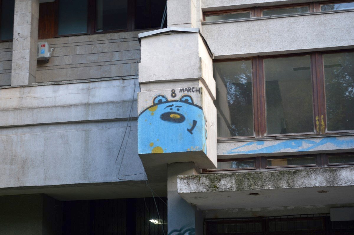 Медвежонок снова тут