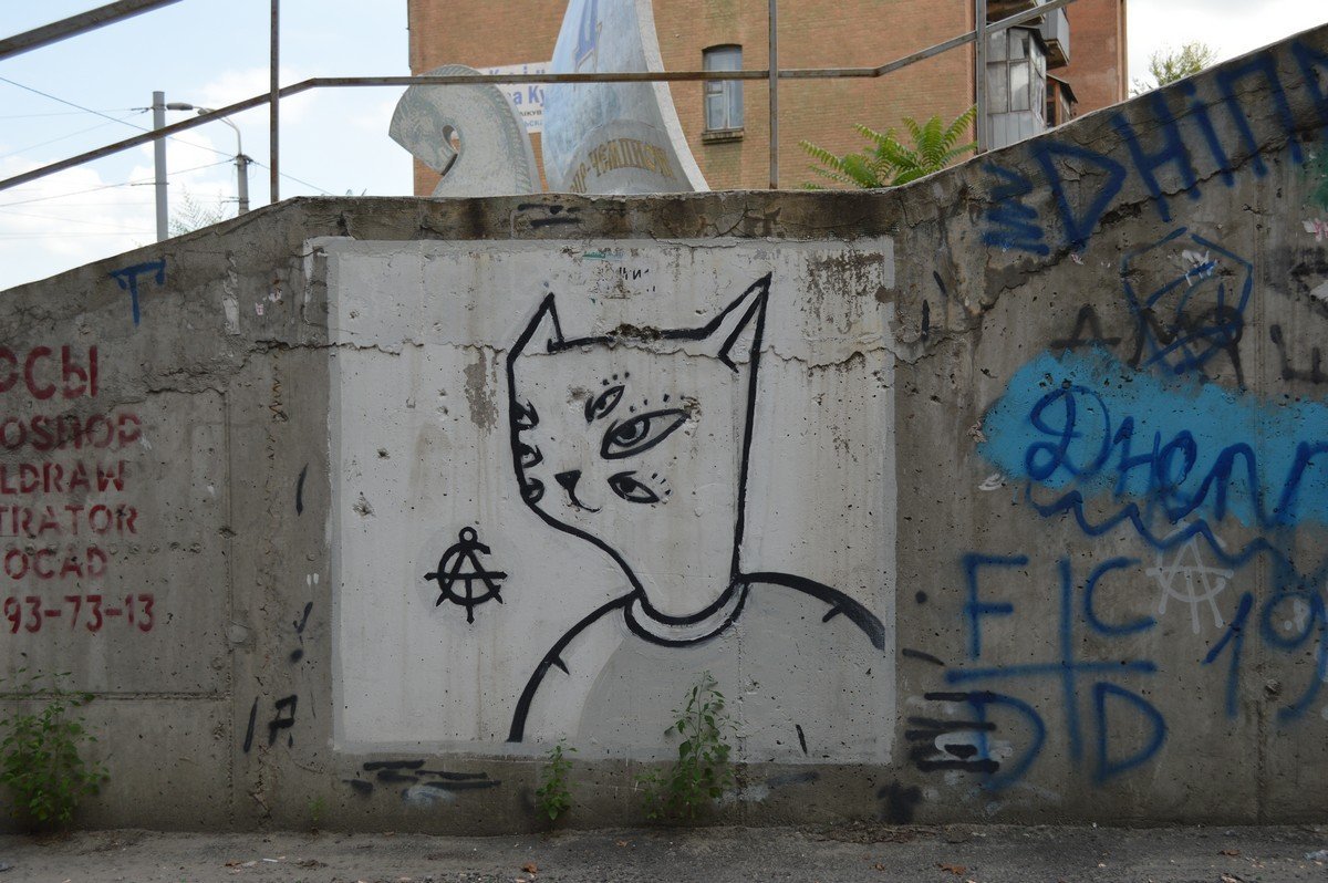 Днепр любит котиков