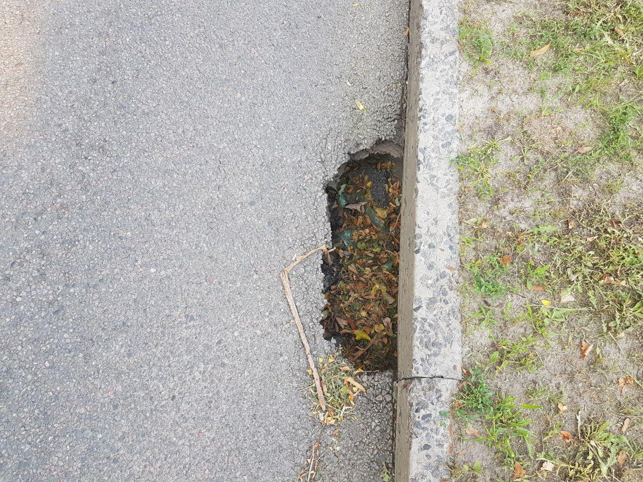 Это могло произойти из-за дождей, вследствие которых образовывались большие пазухи и промоины