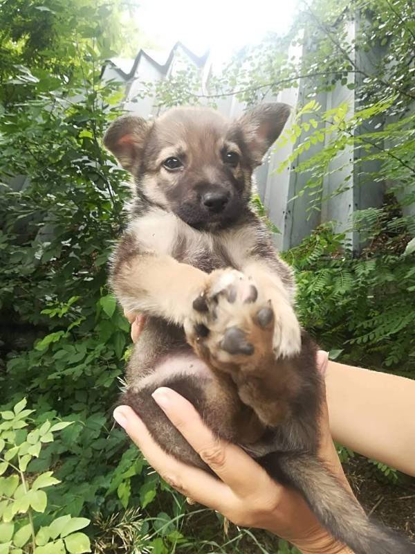 В этих глазах можно увидеть все, что пришлось пережить малышу за свою маленькую жизнь