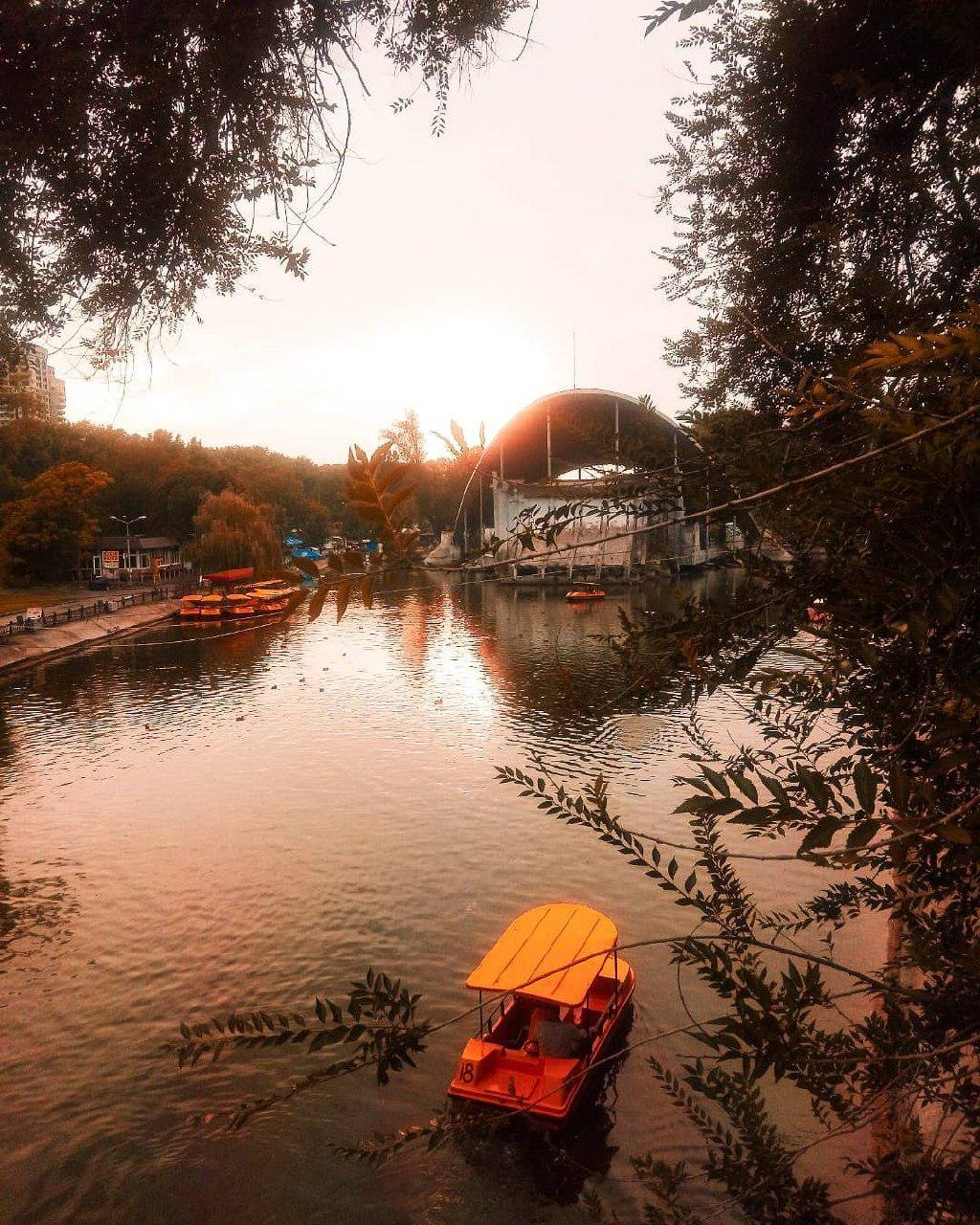 Слелать красивое фото полной разрухи - это талант. Фото: oleksandr.petryk