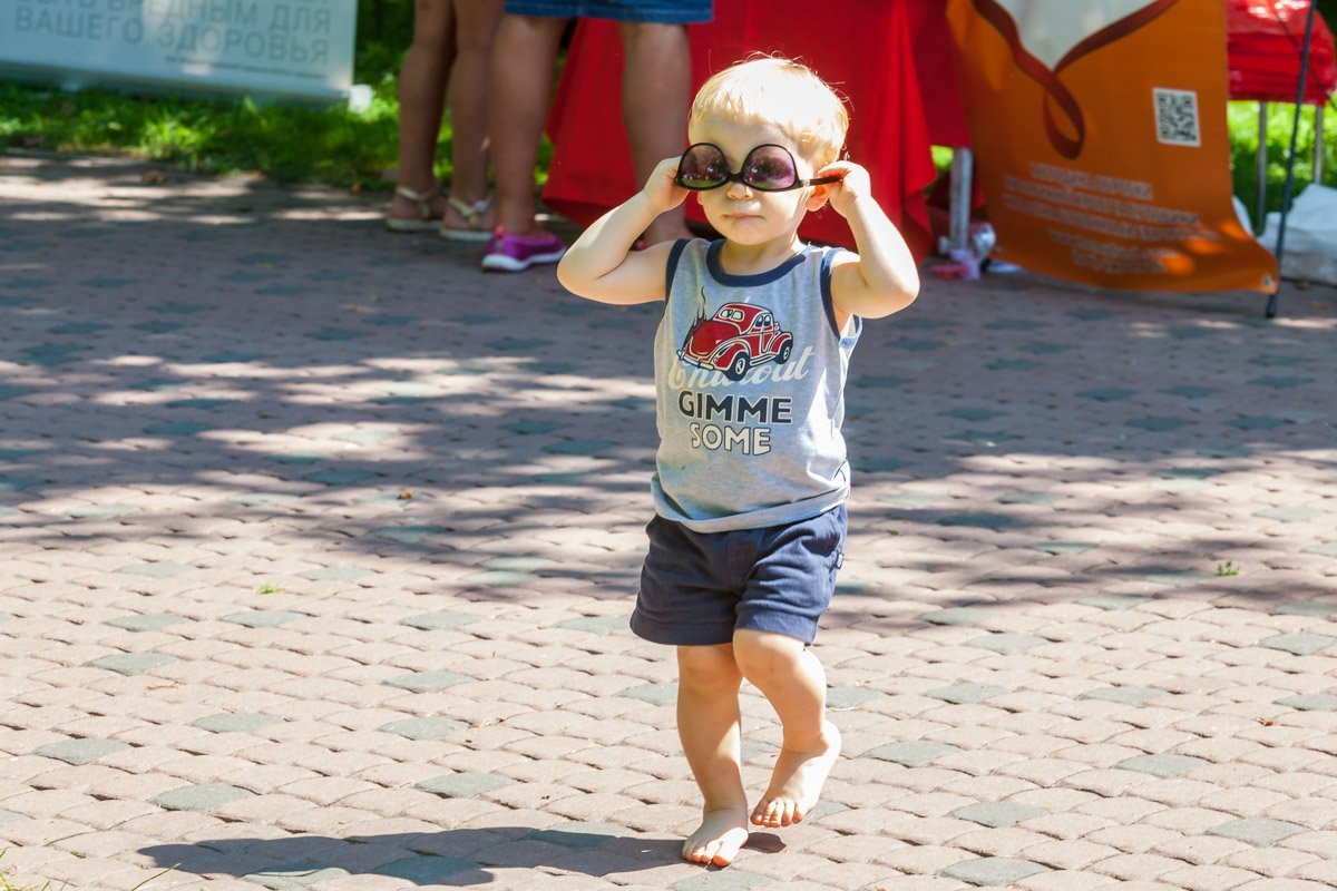 Мистер Стрекоза