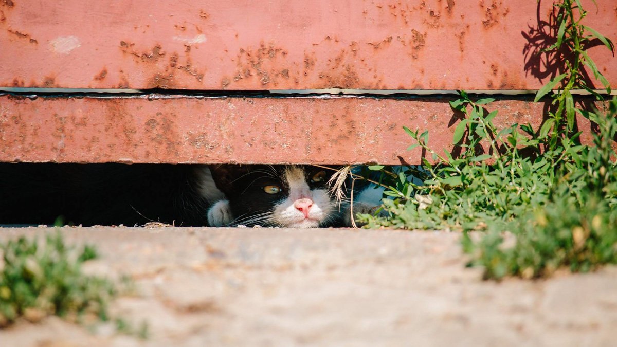 Душно так, что даже Мать Тереза пинала бы своих детей Душно так, что даже Мать Тереза пинала бы своих детей