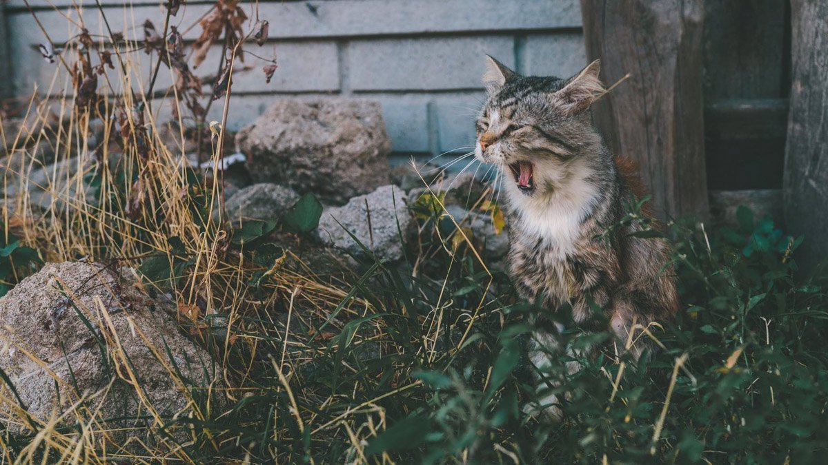 Не ленивый, а энергосберегающий Не ленивый, а энергосберегающий