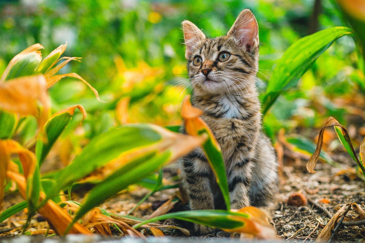 То чувство, когда тебе нет и года, а бабушка уже переписала квартиру на тебя То чувство, когда тебе нет и года, а бабушка уже переписала квартиру на тебя