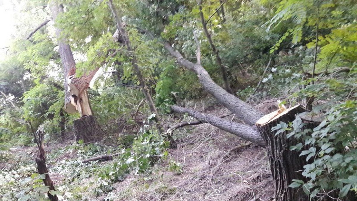 Мужчин обнаружили в балке возле Криворожского шоссе Мужчин обнаружили в балке возле Криворожского шоссе