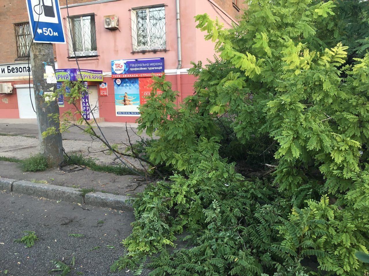 На проспекте Богдана Хмельницкого дерево упало на проезжую часть