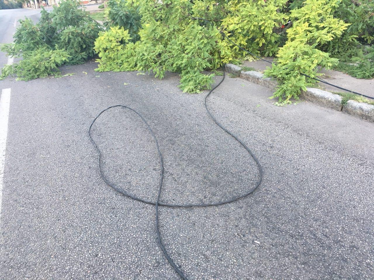 Оно порвало электропровода