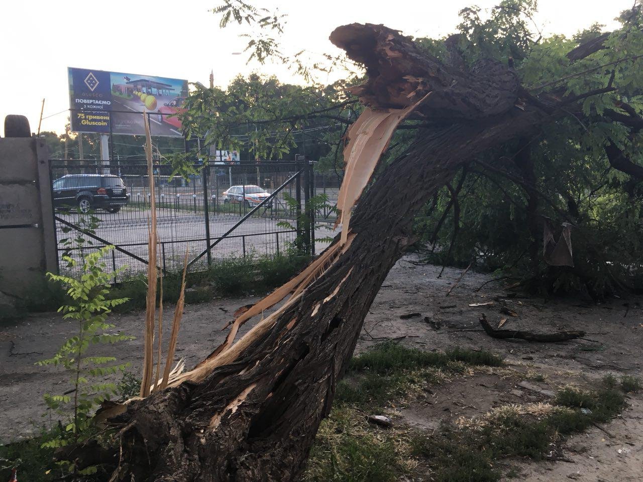 К счастью, никто не пострадал