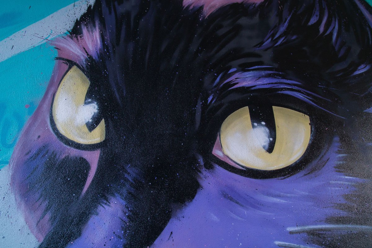 Ее глаза выглядят так, будто бы там решила спрятаться целая Вселенная