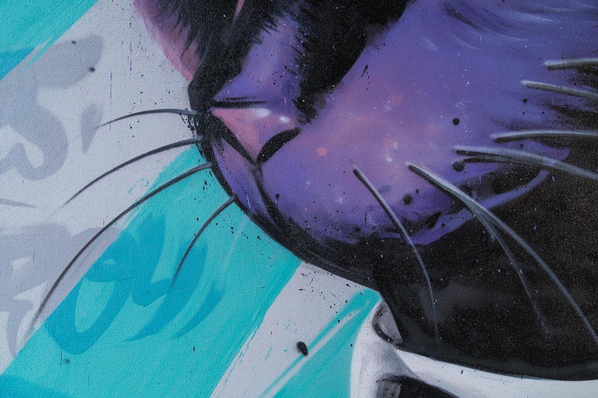 Нос. Не мокрый. #зрада