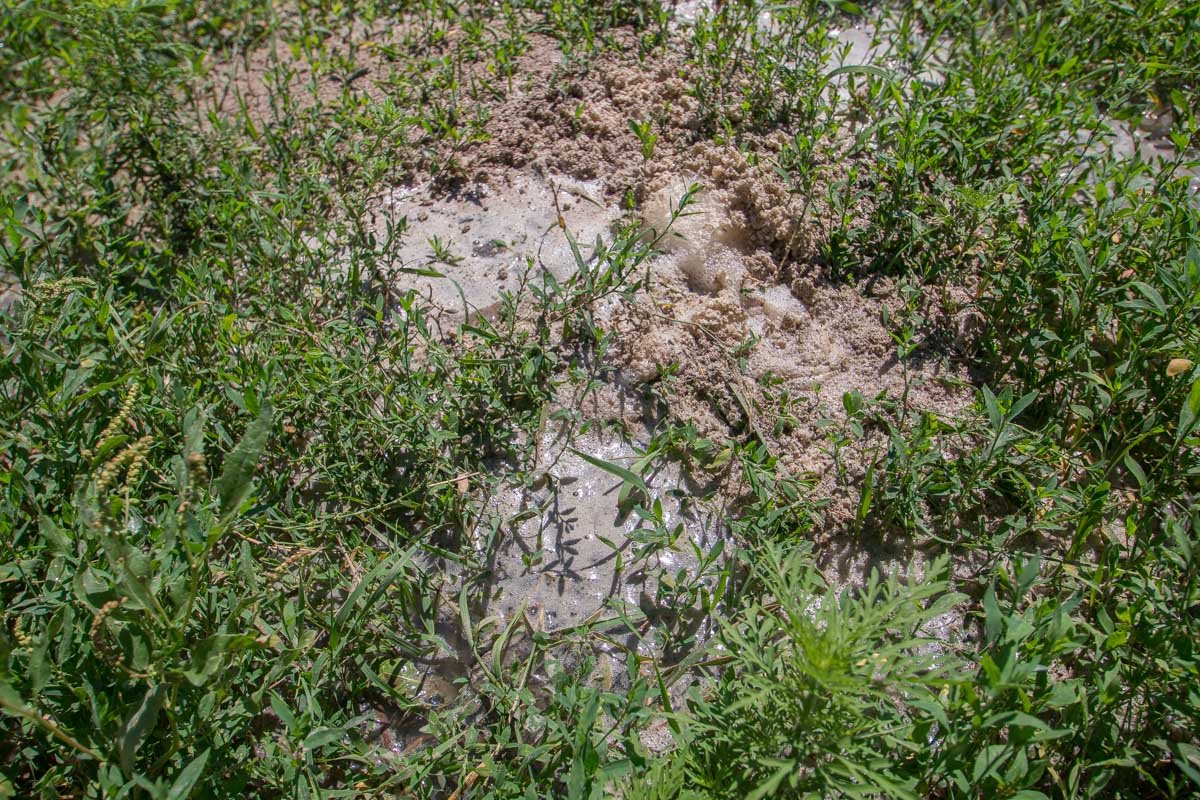 Периодически на данном участке дороги случаются потопы