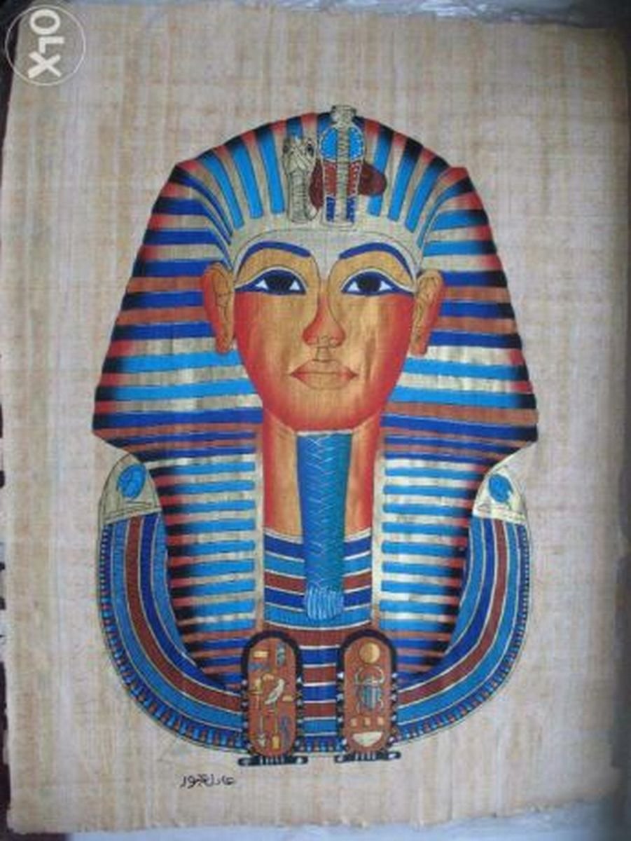 Египетский папирус (из Египта) Египетский папирус (из Египта)