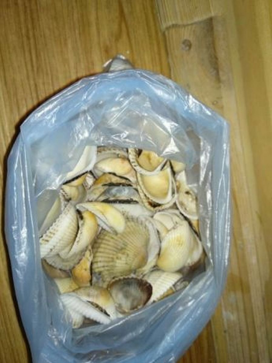 Ракушки на вес Ракушки на вес