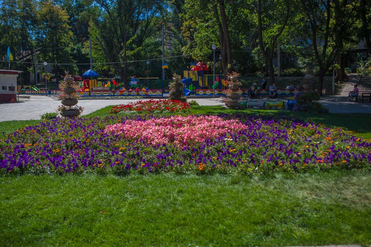 Удивительная зеленая зона Удивительная зеленая зона