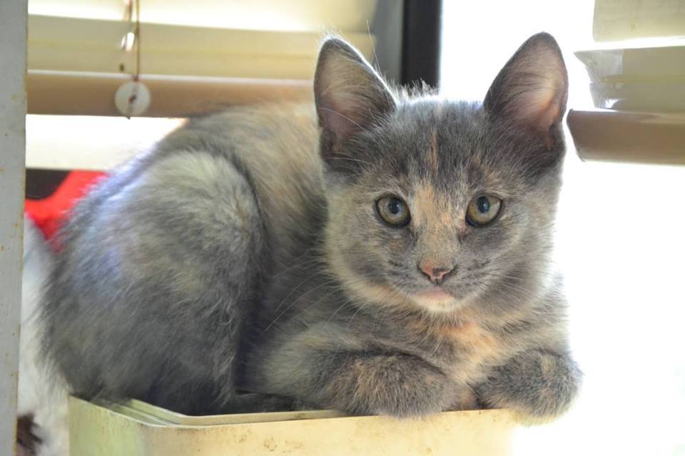 Малышка хочет домой