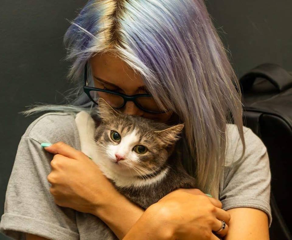 Маленький Кошик вынужден покинуть семью