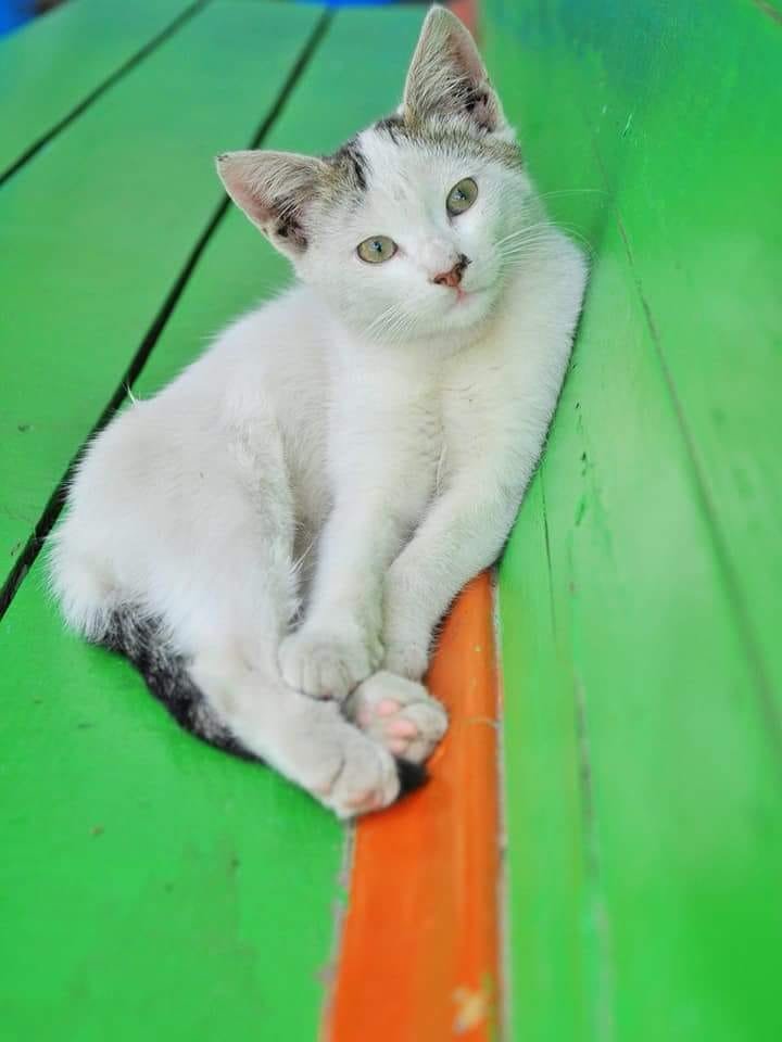 Настоящая любовь выглядит так