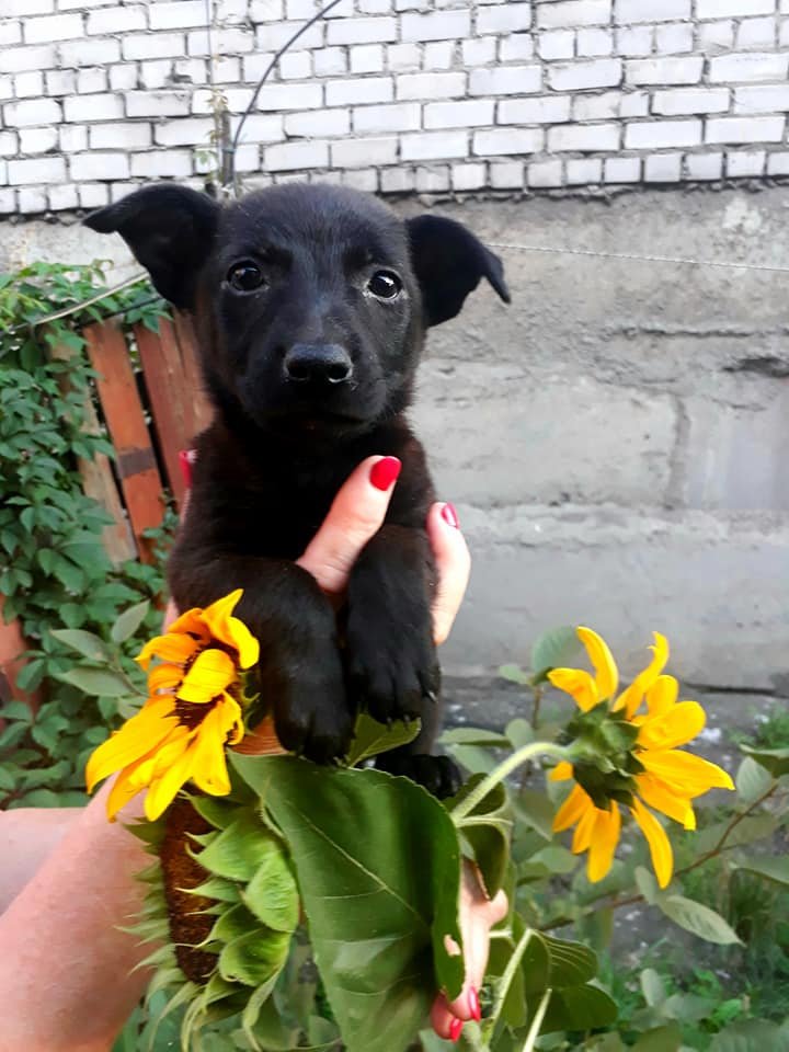 Люби меня, люби