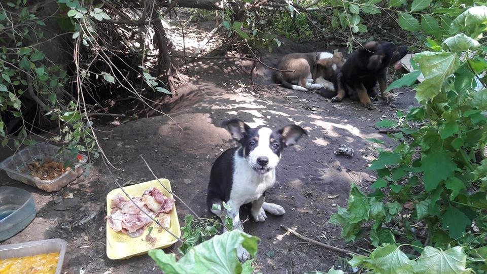 Приходите забрать меня