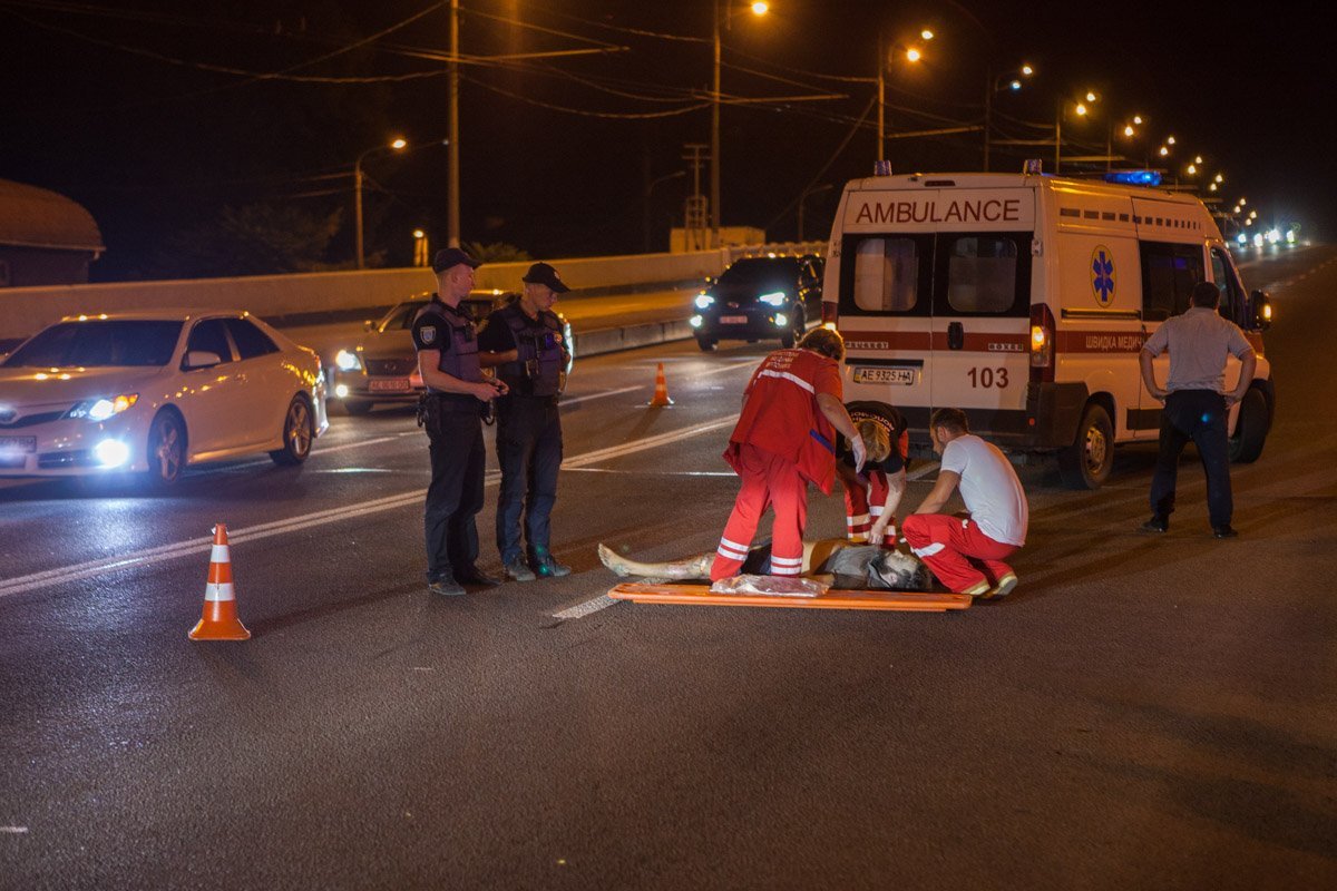 Фото Андрея Шушпана Фото Андрея Шушпана