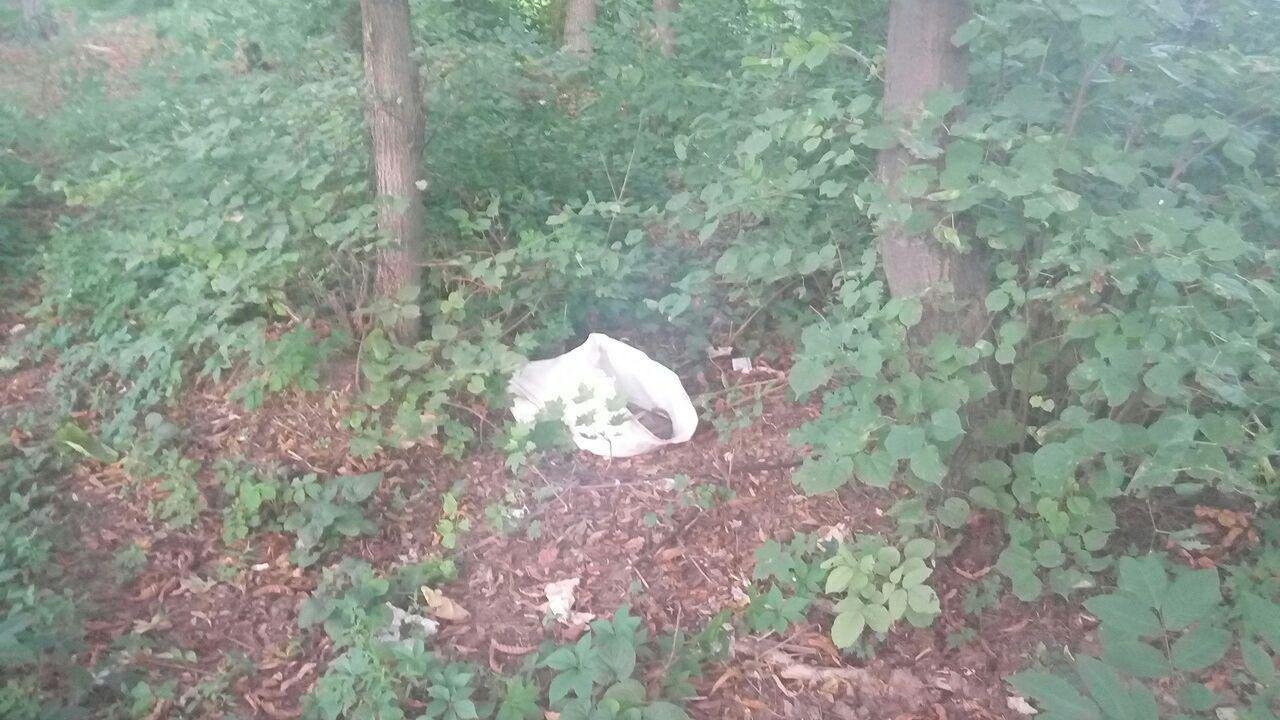 Странную находку мужчина обнаружил недалеко от конечной остановки маршрутного такси №136 Странную находку мужчина обнаружил недалеко от конечной остановки маршрутного такси №136